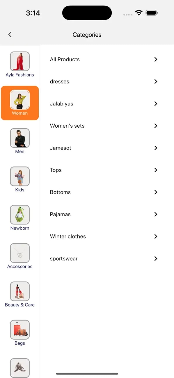 Project screenshot 2