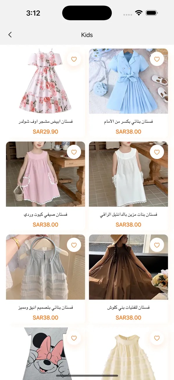 Project screenshot 7