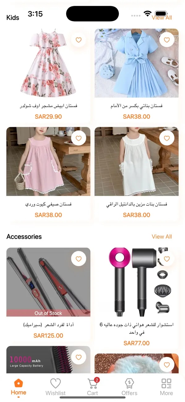 Project screenshot 8